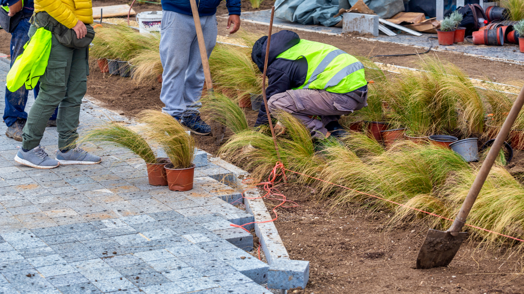 Ever Green Oasis - Expertise